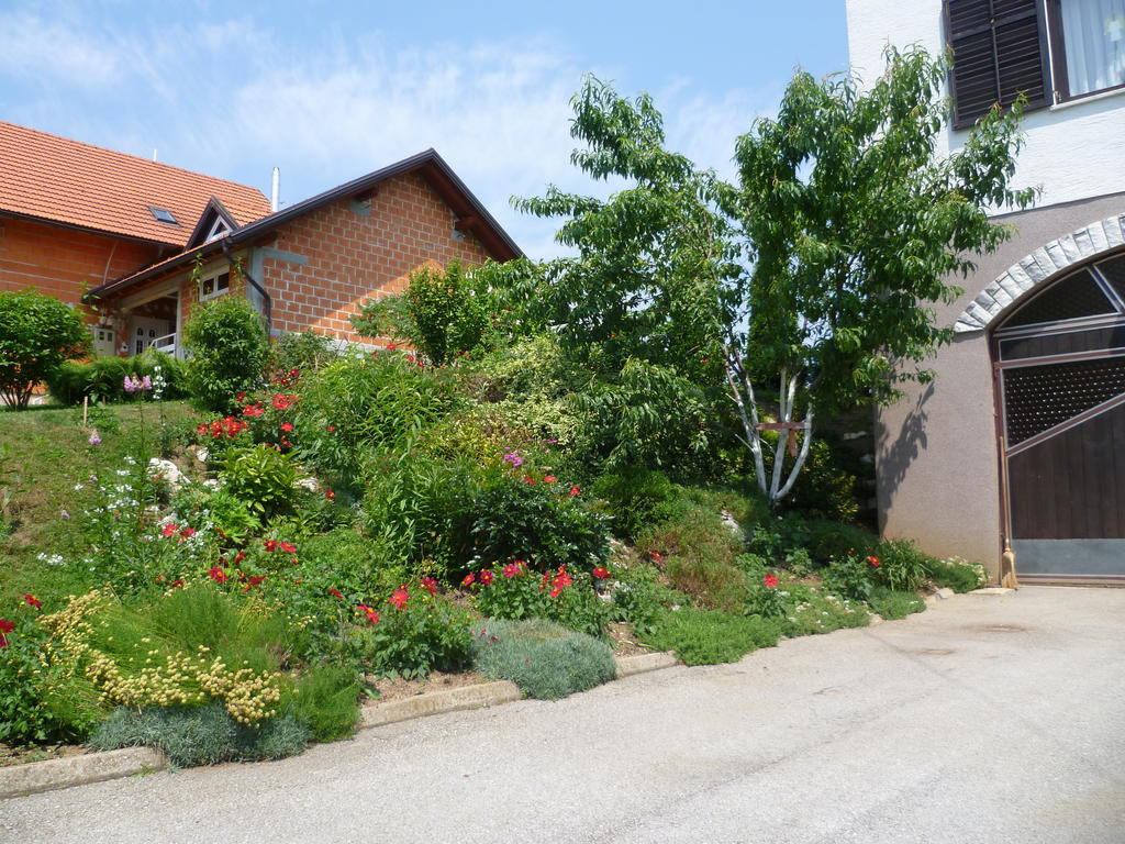 Apartments Tratincica Selište Drežničko Exterior foto